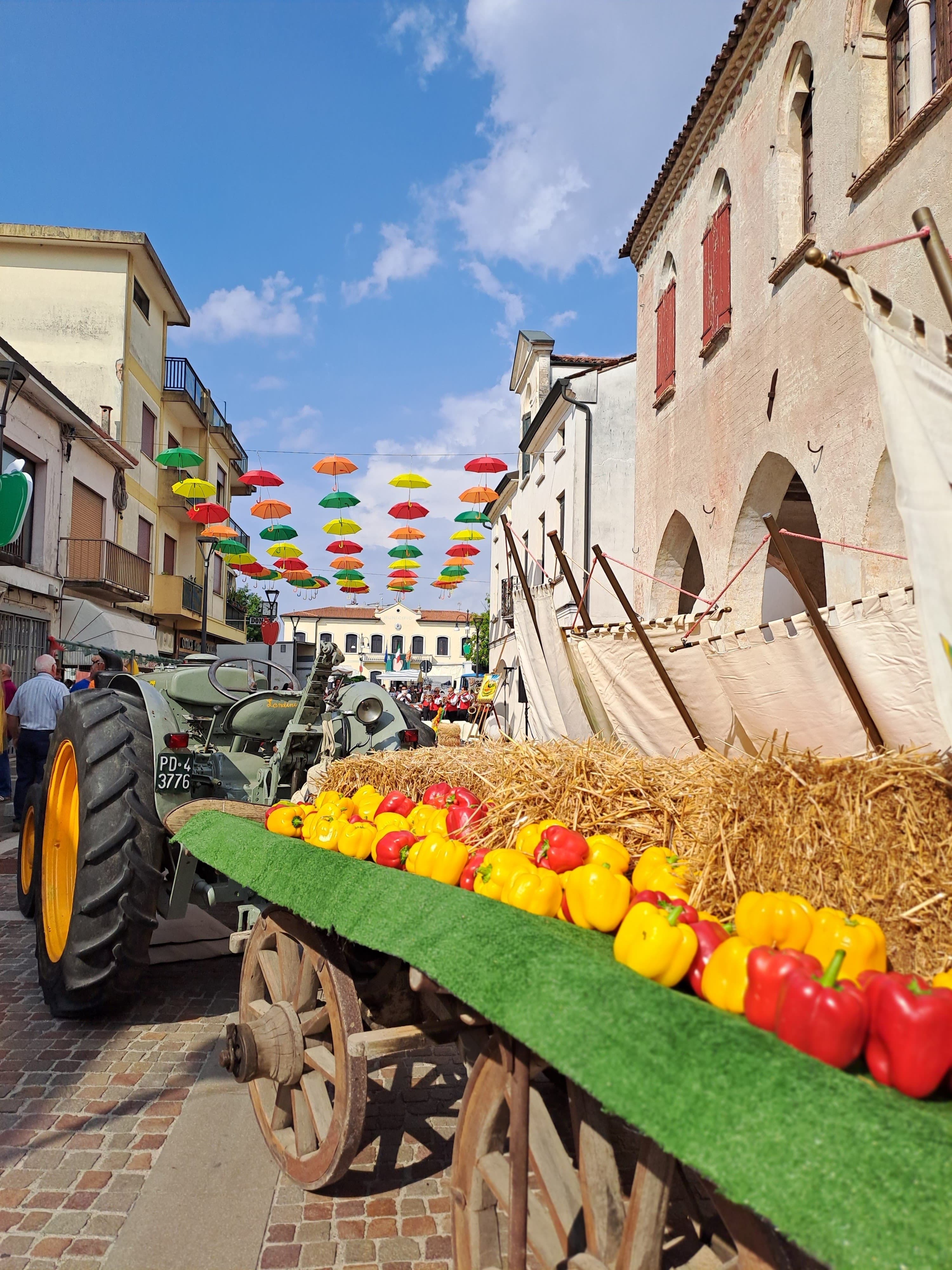 Festa Peperone 2022 Pro Loco di Zero Branco